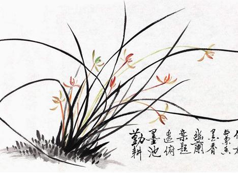 重阳节-菊花文化